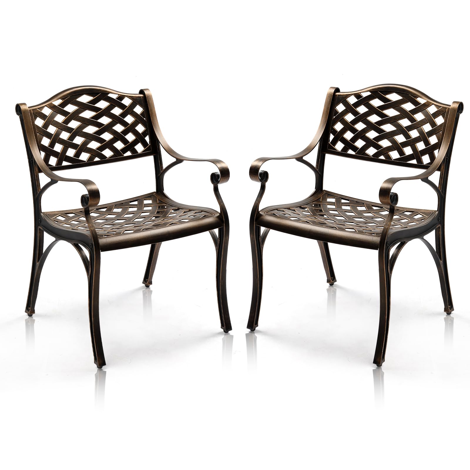 Outdoor Dining Chairs Set of 2, Cast Aluminum Patio Chairs Set with Armrests,