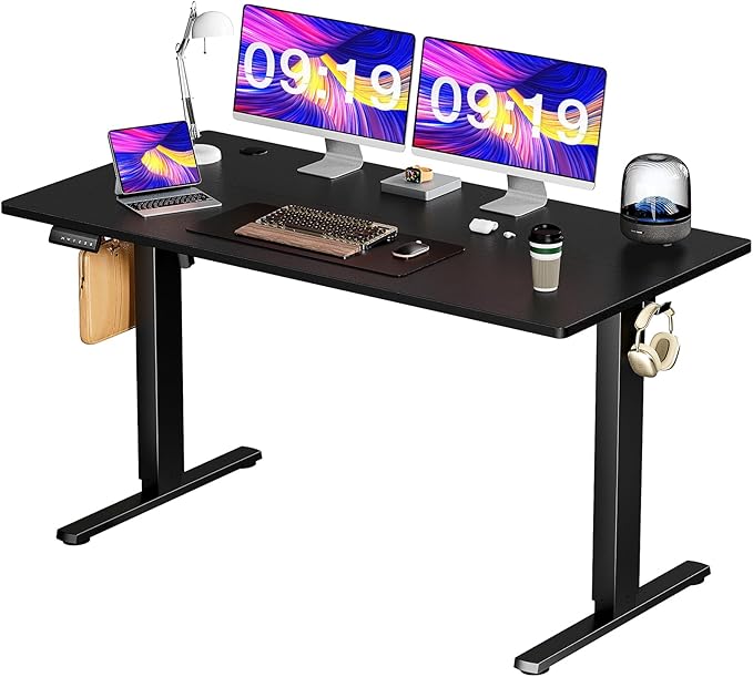 Standing Desk, 48 x 24 in Electric Height Adjustable Computer Desk for Home Office