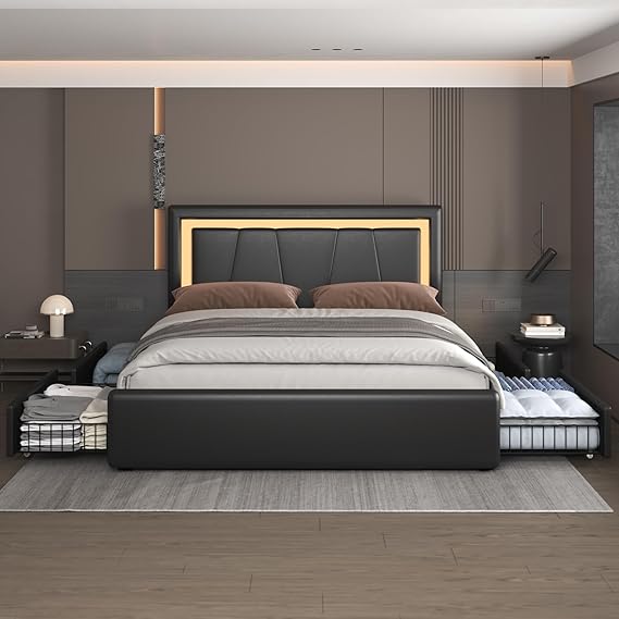 Queen Platform Bed with Storage Drawers and LED Lighting