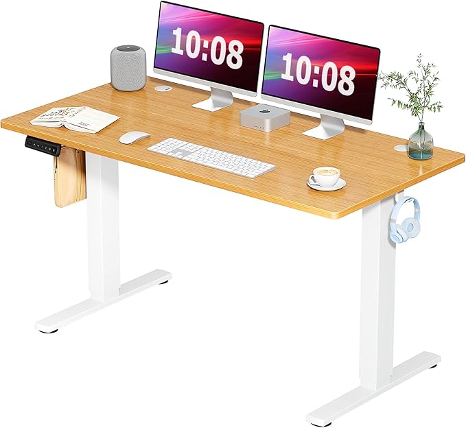 Standing Desk, 48 x 24 in Electric Height Adjustable Computer Desk for Home Office