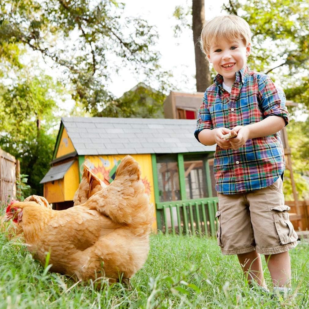 PetHaven Black Metal Playpen – Waterproof Outdoor Pet Run