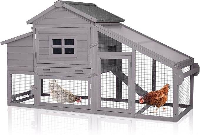 Portable Chicken Coop with Wheels – For 2–4 Chickens, Nesting Box & Playpen