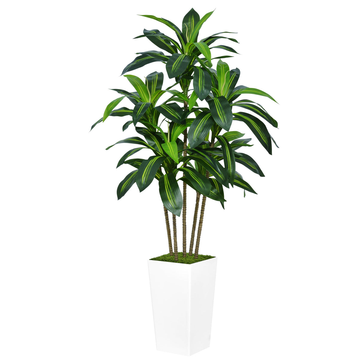 Artificial Dracaena Tree 5FT - Faux Tree with White Tall Planter - Fake Tropical Yucca