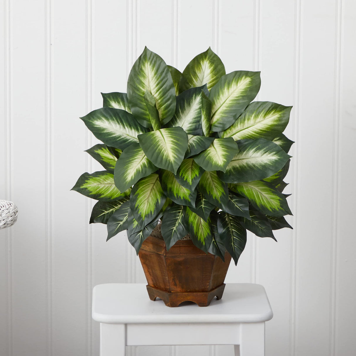 22IN Artificial Triple Golden Dieffenbachia Plant with Decorative Wood Planter