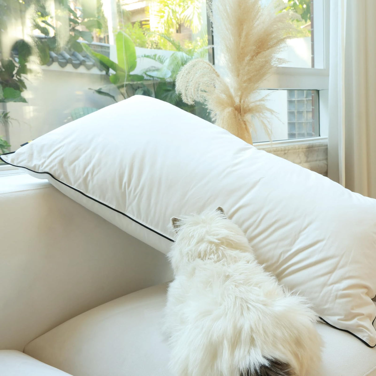 Down Pillow,Premium Goose Down Pillows Queen Size Set of 2 for Neck Pain Relief