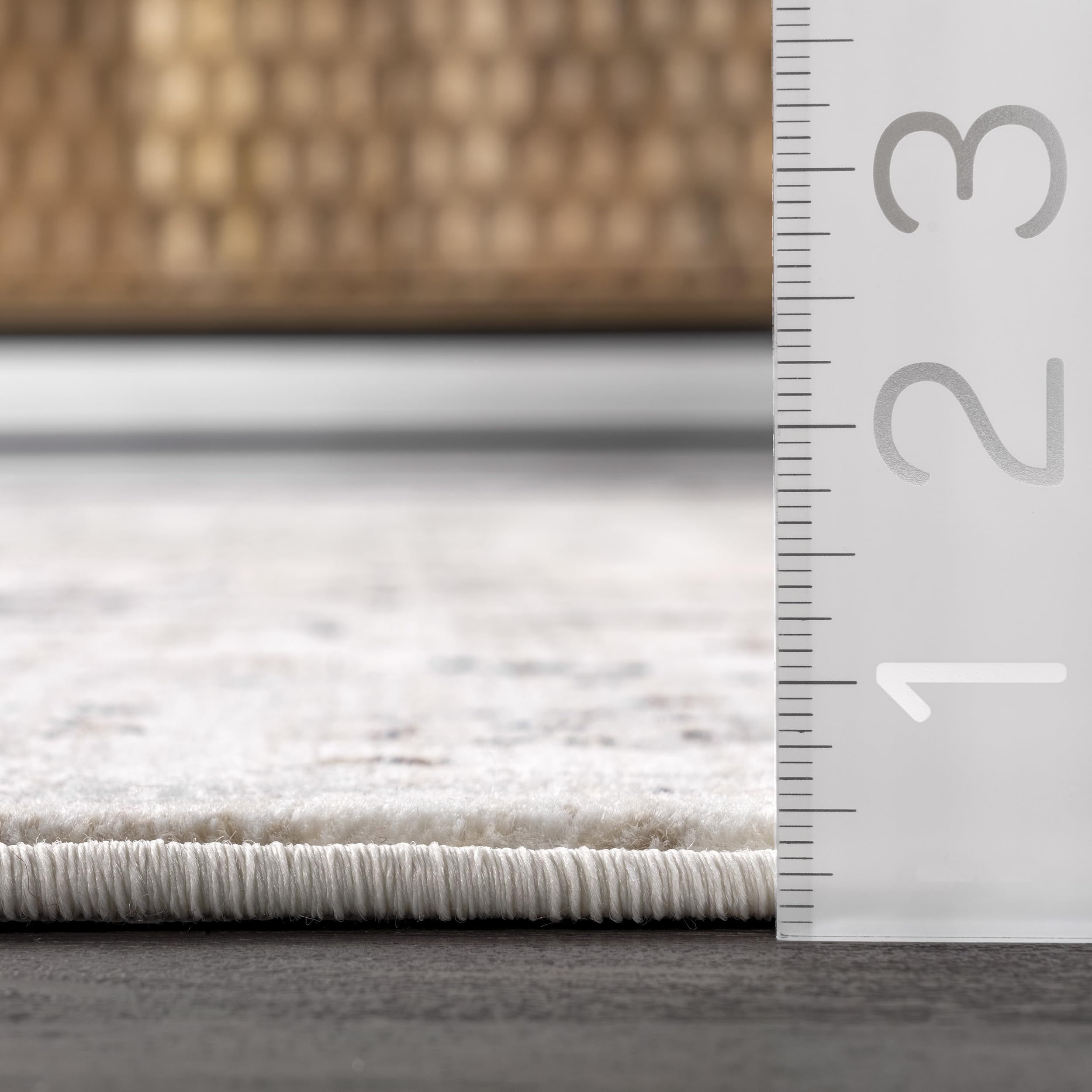 nuLOOM Oliveira Floral Medallion Fringe Area Rug, 8x10, Beige