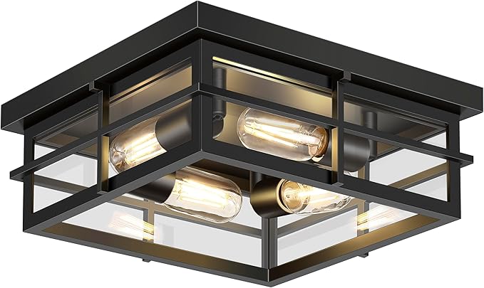 Outdoor Ceiling Light Fixtures, 2-Light Black Flush Mount Light Fixtures with Clear Glass S