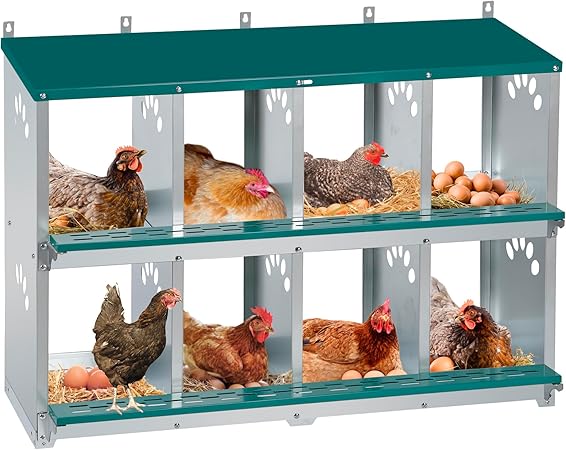 Chicken Nesting Box, 10 Compartment Nesting Box, 10 Room Metal Nesting Boxes