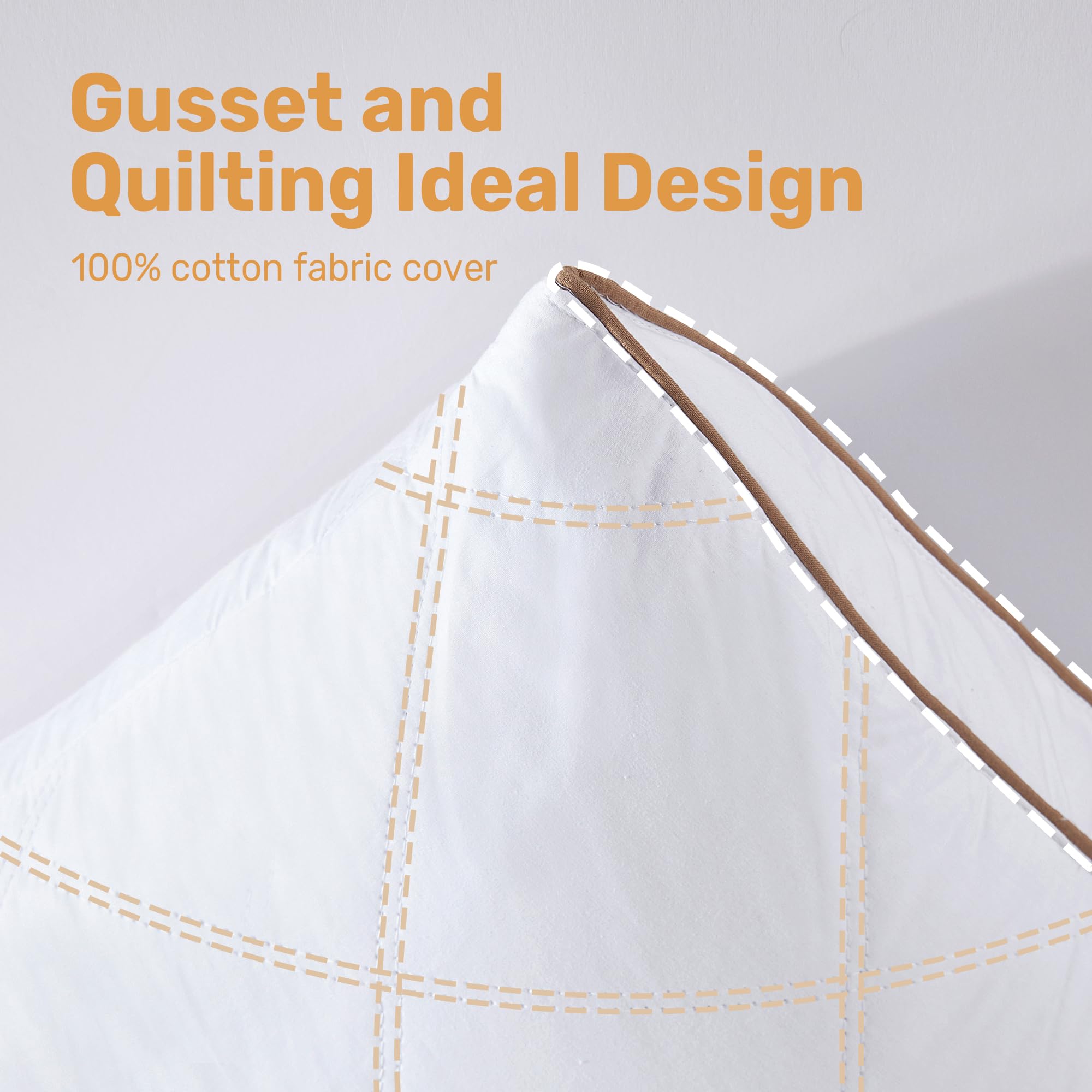 Natural Goose Feathers and Down Pillow - Queen Size Set of 2, Medium Firm Pillow