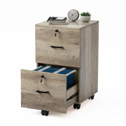 2 Drawer File Cabinet with Lock, Wood Rustic Gray File Cabinet