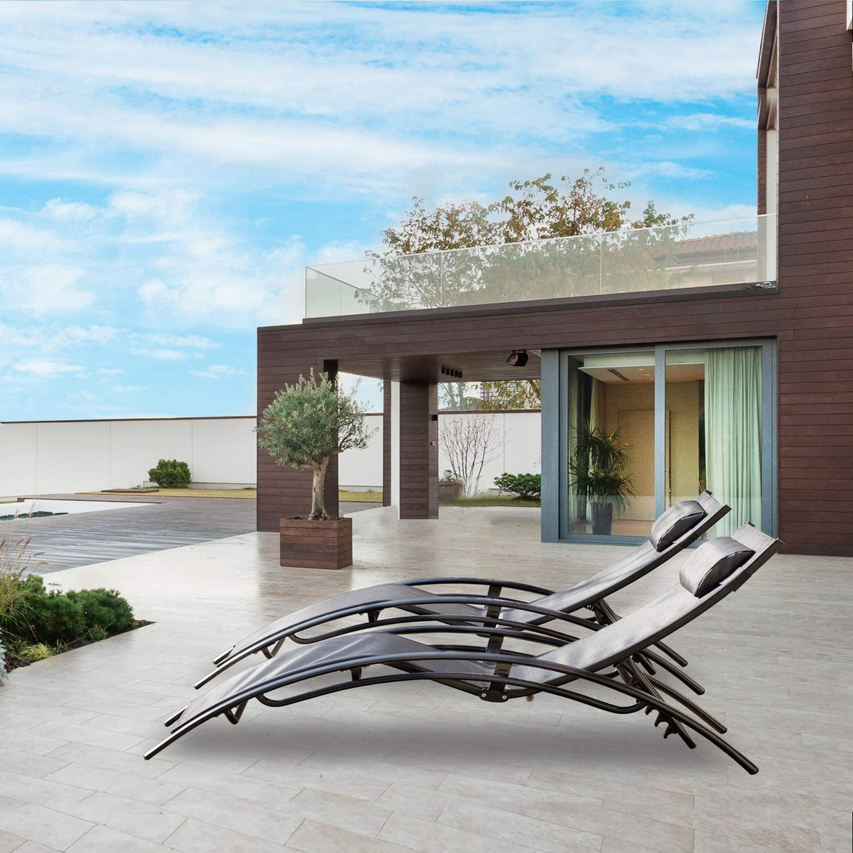 Lounge Chair Set of 2,Adjustable Chaise with Pillow,Lounge Chairs with 4 Adjustable