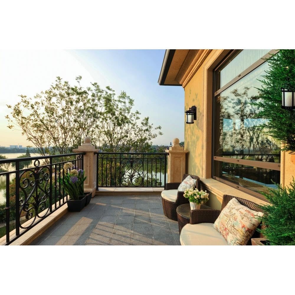 Santa Barbara Dark Sky-1 Light Outdoor Wall Lantern