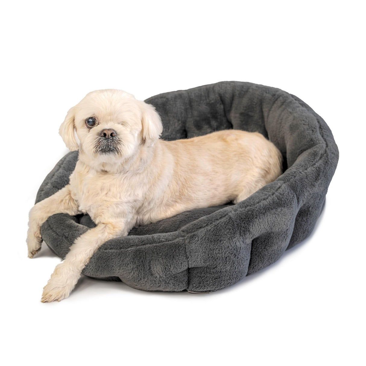 Small Orthopedic Dog Bed, Cuddler, Faux Fur Luxury Bed