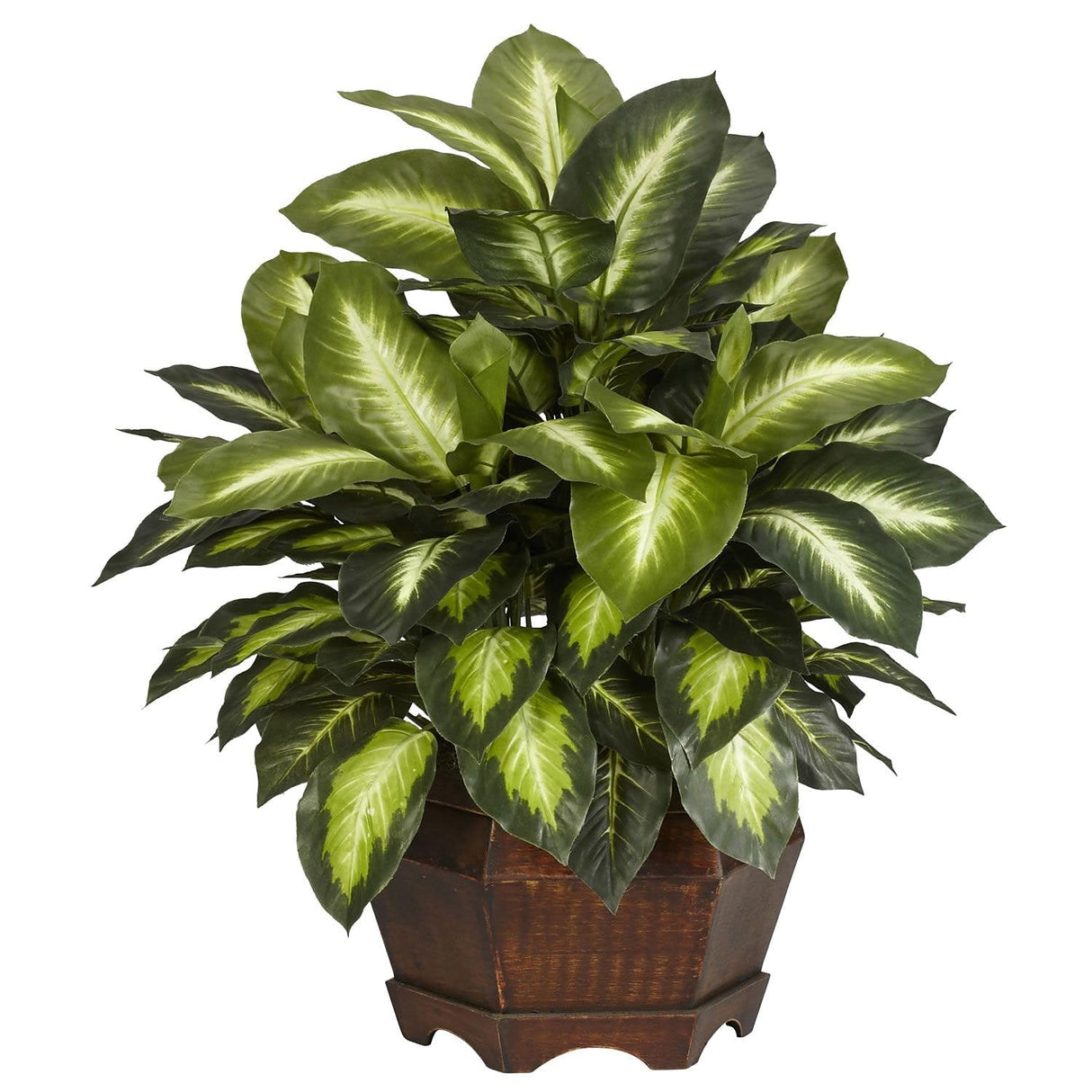 6639 24in. Golden Dieffenbachia Silk Plant, Green