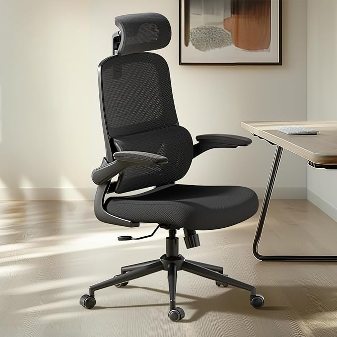 P1 Ergonomic Office Chair with Lumbar Support, High Back Mesh Desk Chair