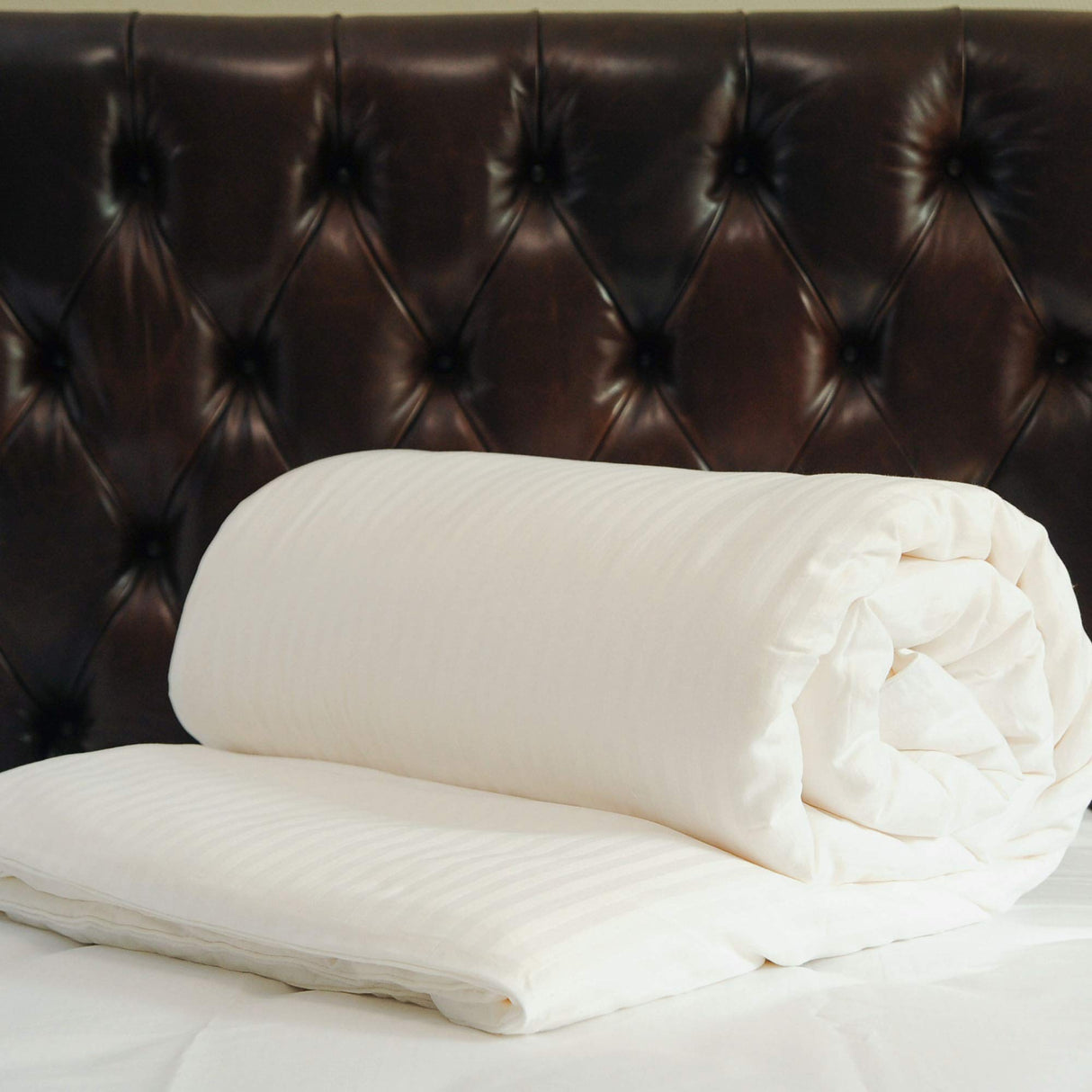 Silk Comforter for Winter, 100% Long-Strand Silk Filling, Natural & Breathable (Twin Size)