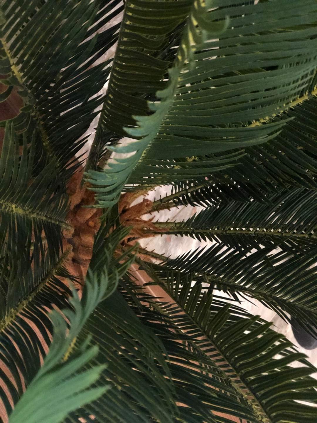 Gorgeous 3 Feet Cycas Revoluta Sago Palm Tree Artificial Plant with Nursery Pot,