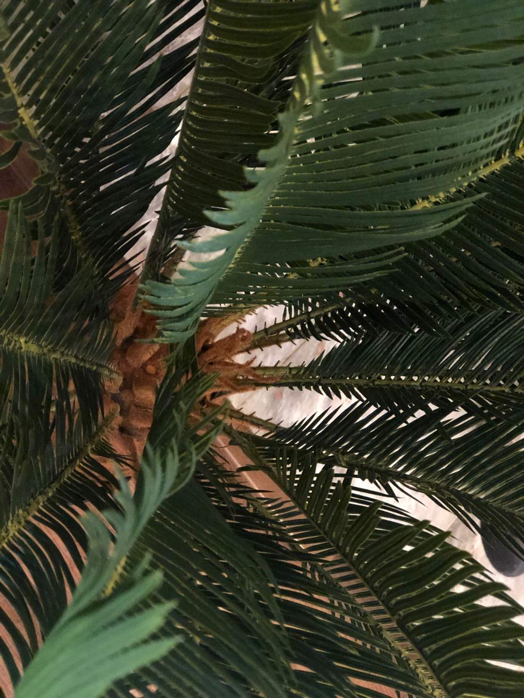 Gorgeous 3 Feet Cycas Revoluta Sago Palm Tree Artificial Plant with Nursery Pot,