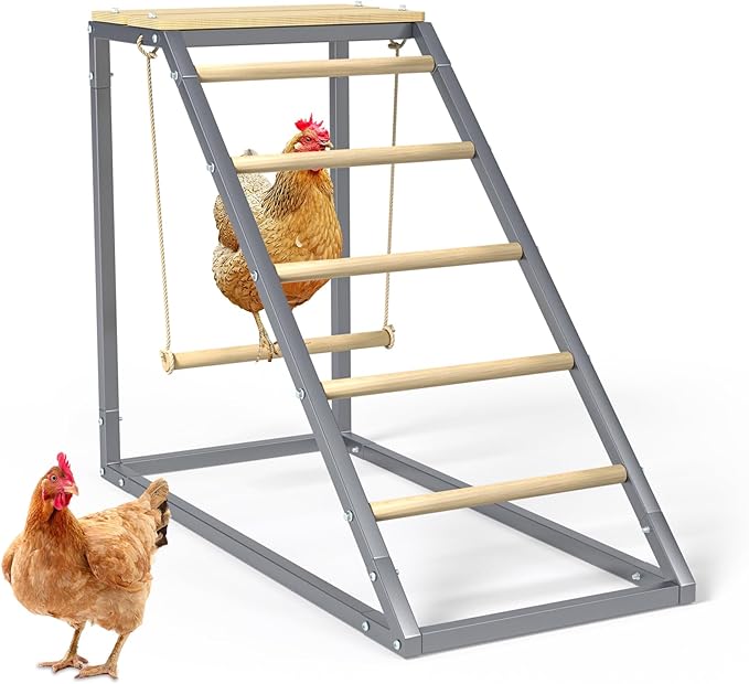RoostMate Chicken Roost with Galvanized Pipe & Wood Design