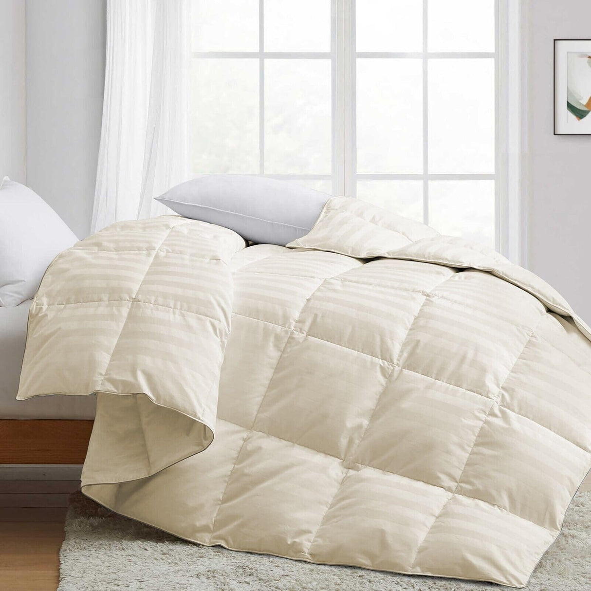 Premium 1000 Thread Count Queen Size 1 Piece Comforter (500GSM Fiber Fill)