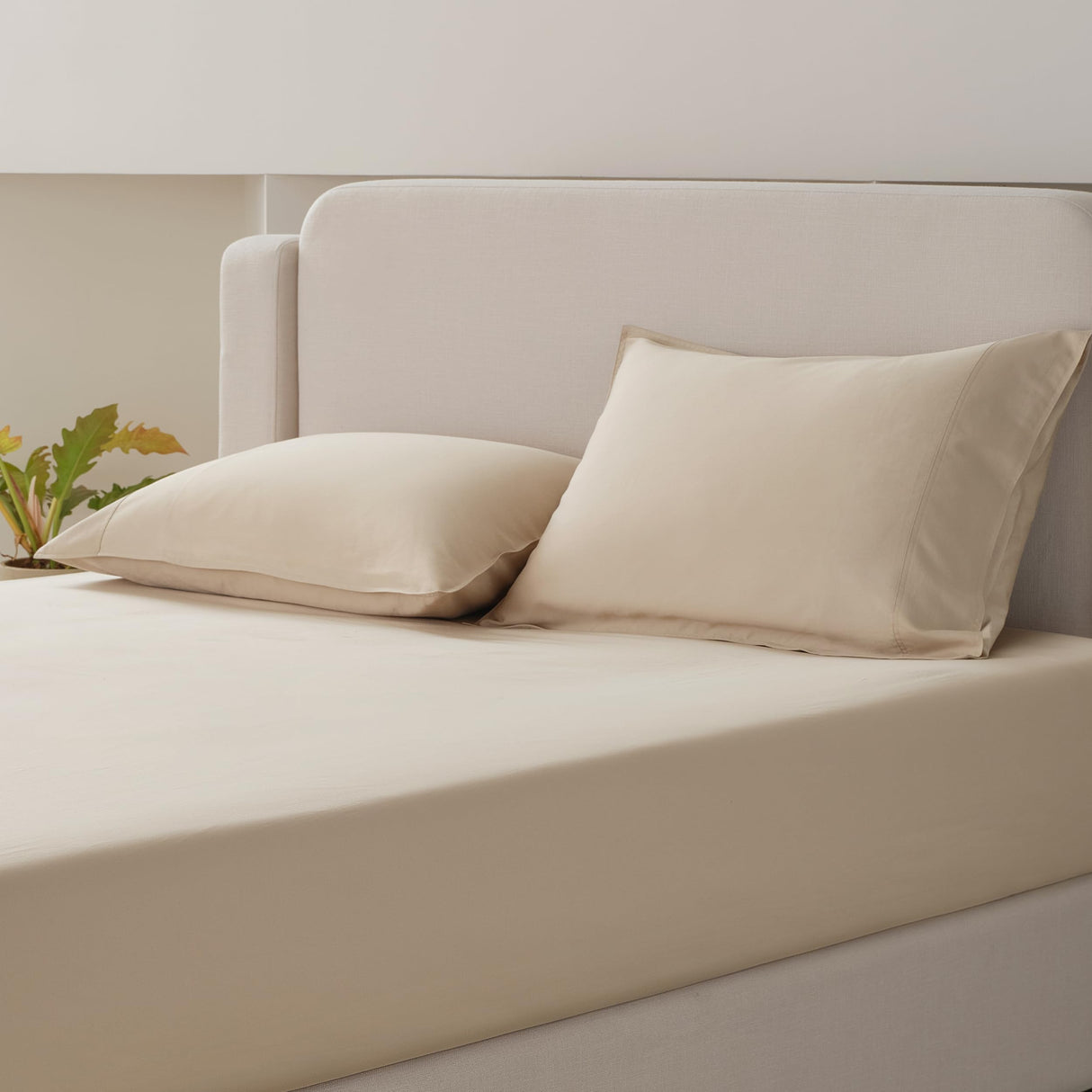 Pillowcases Queen Size Set of 2, Cotton Tencel Lyocell Pillow Cases