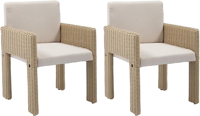 Dining Chairs Set of 2, Patio Modern Dining Chairs with Backrest