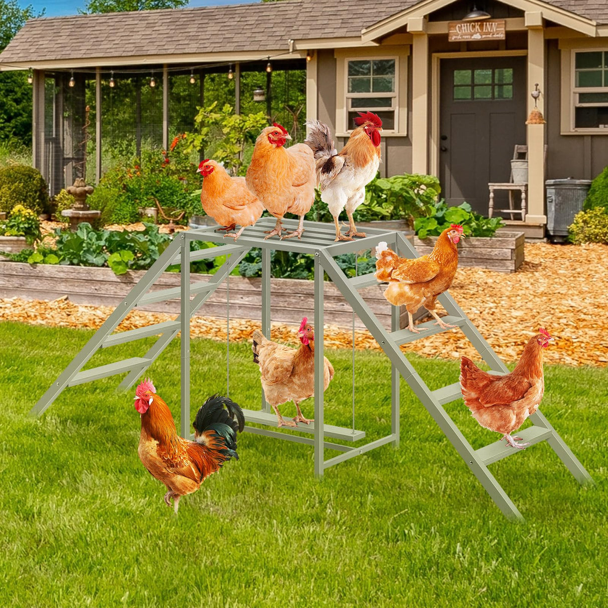 CluckNest Chicken Roost Toy – Swing, Ladder & Perch Set for 8–10 Chickens