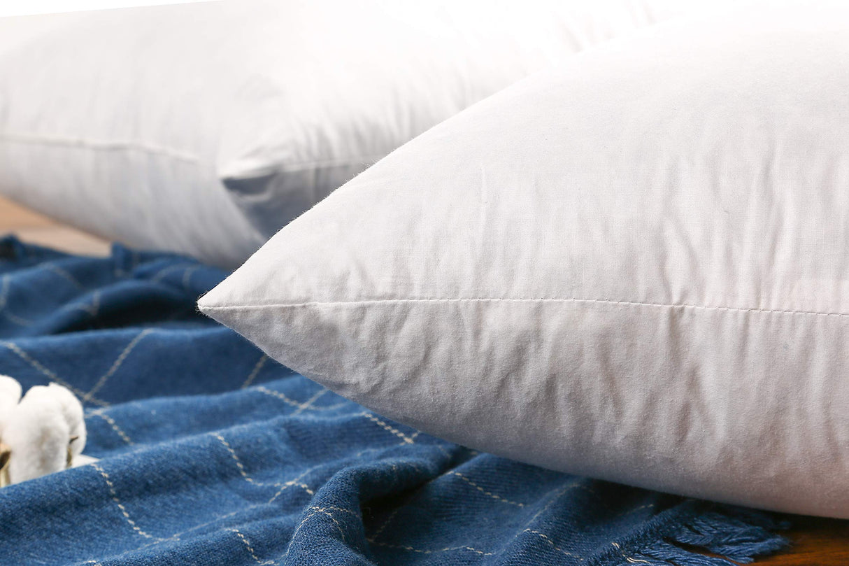 24×24 Premium Goose Down Feather Throw Pillow Inserts(Set of 2)-5% Down Filling
