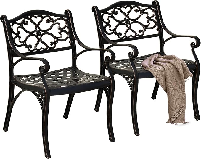 Set of 2 Outdoor Cast Aluminum Outdoor Chairs with Armrest