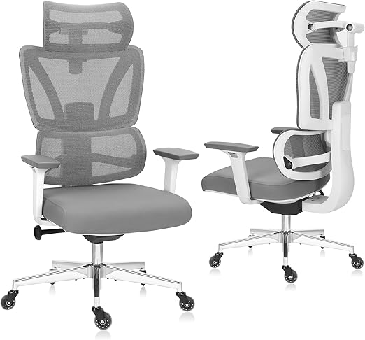 C19 Ergonomic Mesh Office Chair with Adjustable Height Lumbar Support,3D Armrest