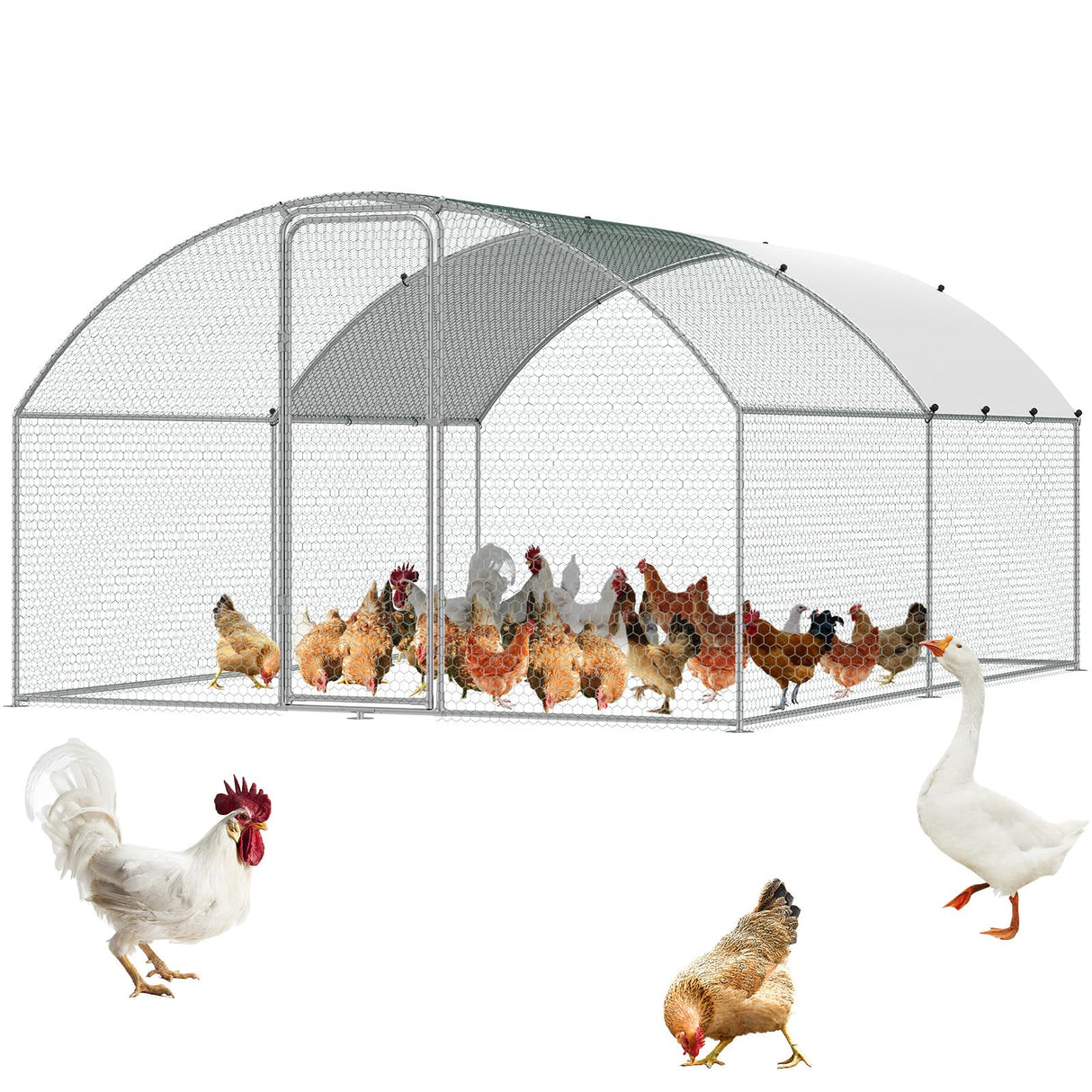 UtopiaCoop Metal Chicken Coop – Split Door, Waterproof Roof & Predator-Proof Design
