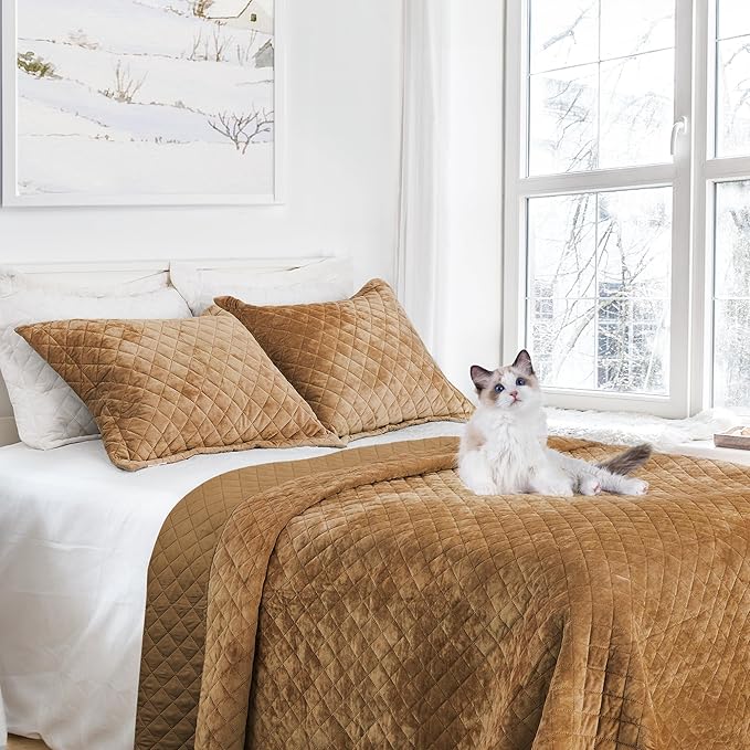 Luxury Velvet Queen Quilt Set, Ultra Soft Lightweight Velvet Comforter Set