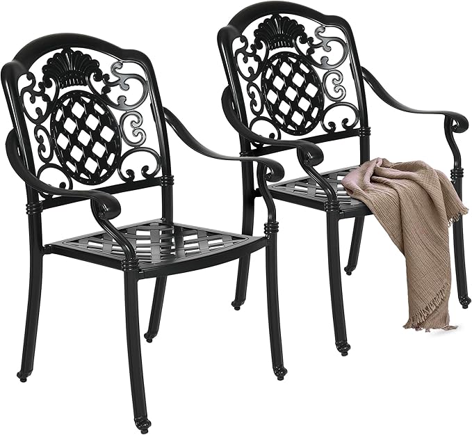 Set of 2 Outdoor Cast Aluminum Outdoor Chairs with Armrest