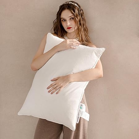 Queen Size Goose Feather Down Pillows