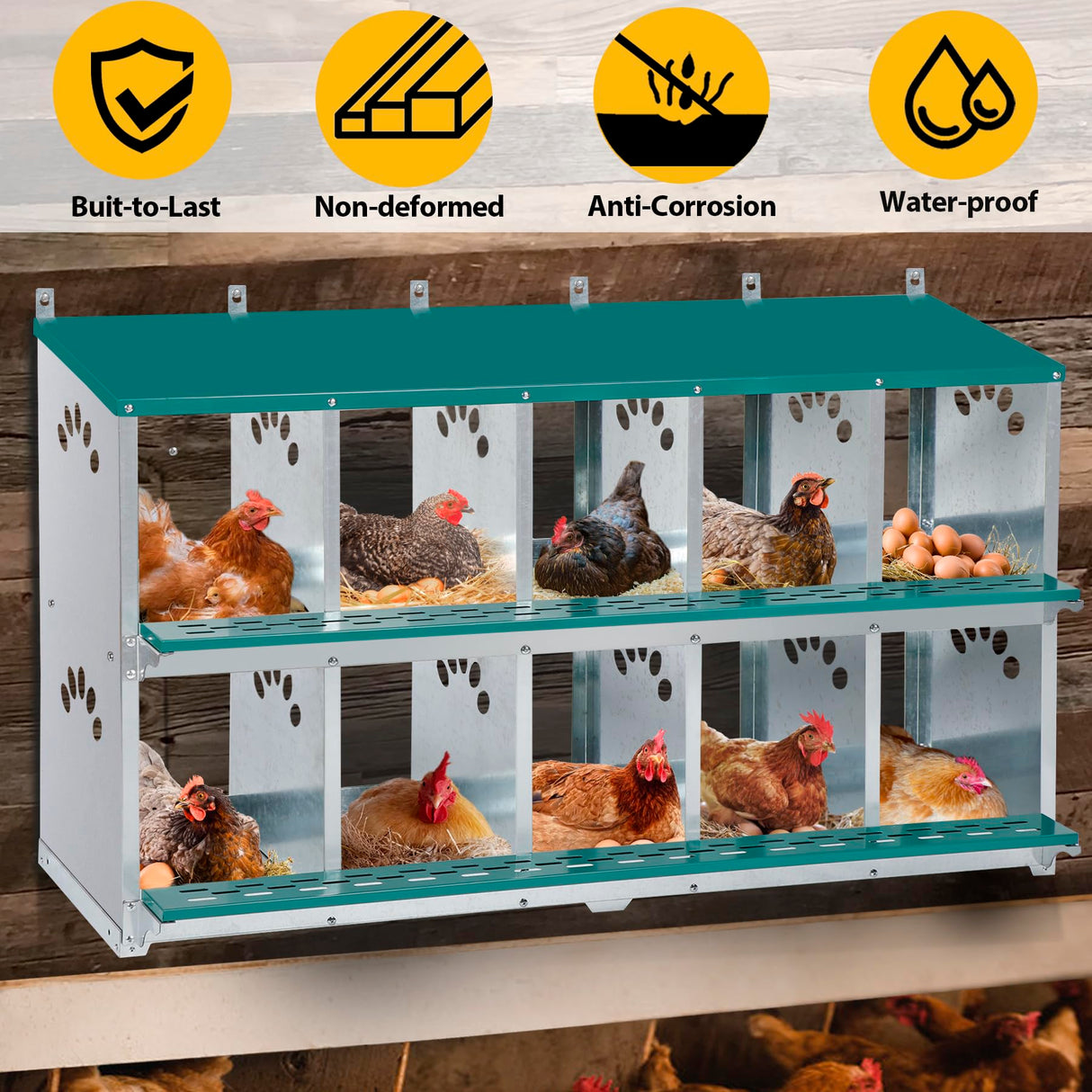Chicken Nesting Box, 10 Compartment Nesting Box, 10 Room Metal Nesting Boxes