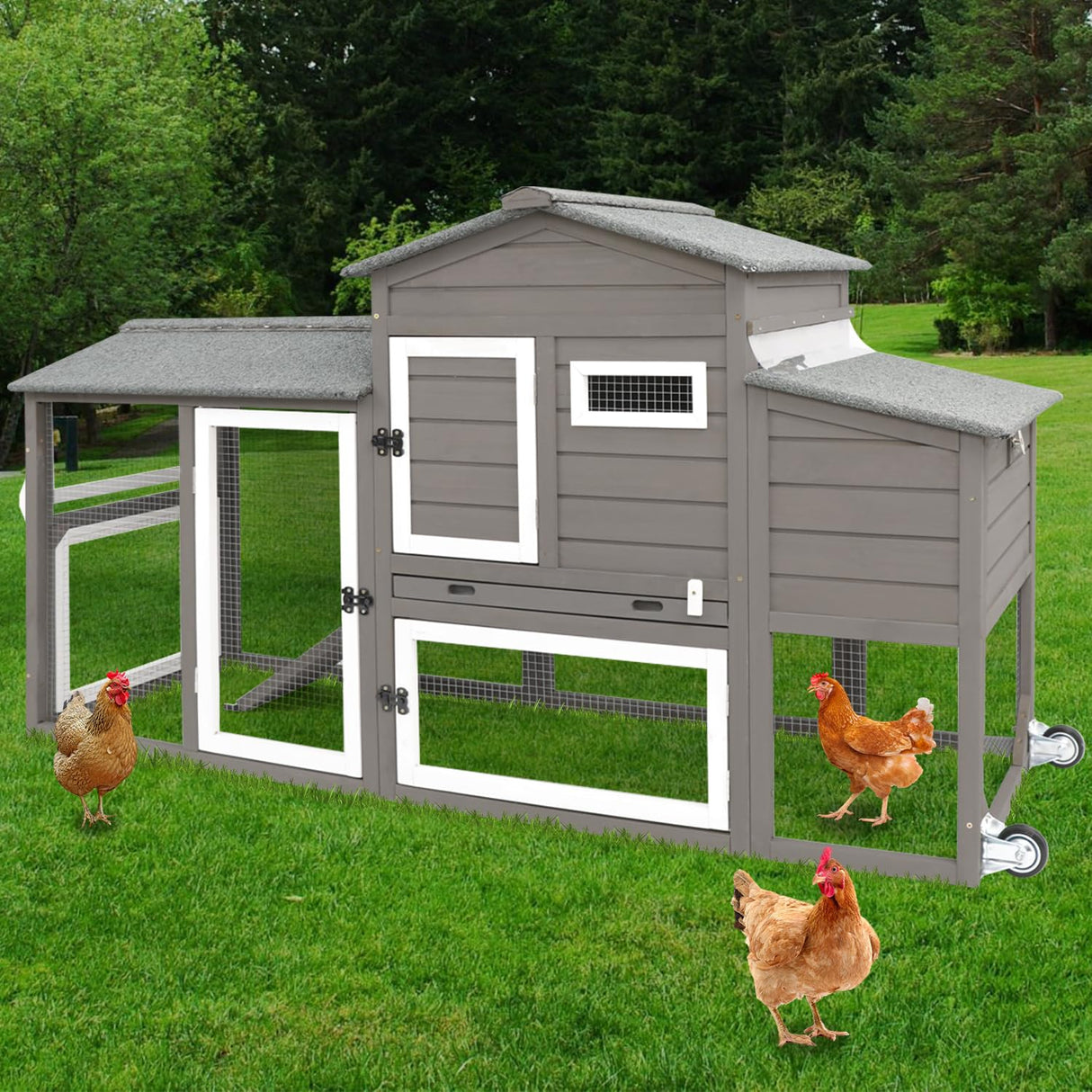 NestMate Chicken Coop with Nesting Box, Tray & Perch Bars