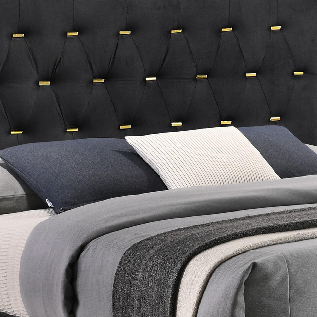 Lif Platform King Size Bed, Panel Tufted Headboard, Velvet, Black and Gold