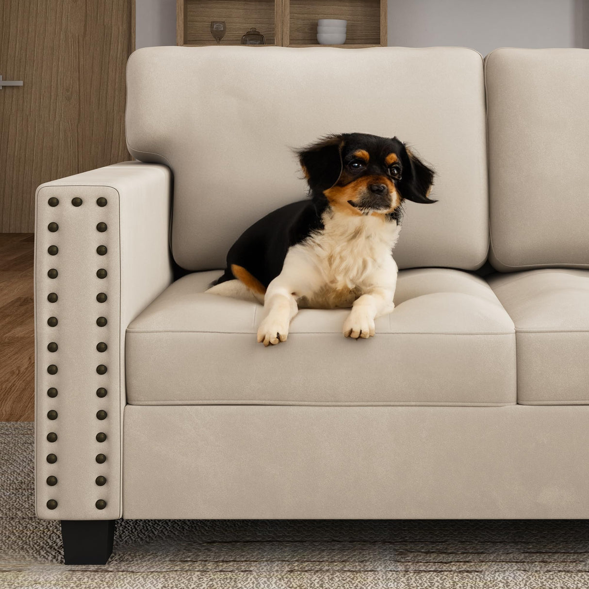 HONBAY Velvet Convertible Sectional Couch, U Shaped Sectional Sofa with Chaise Modular Sectional with Storage Ottoman Corner Couch for Living Room, Beige