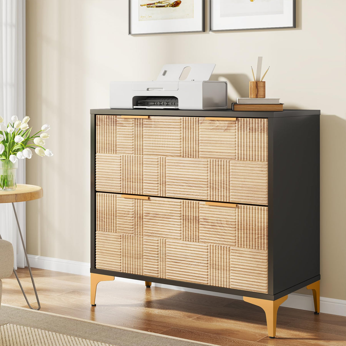 Modern File Cabinet, 2-Drawer Lateral Filing Cabinet with Adjustable Hanging Bar