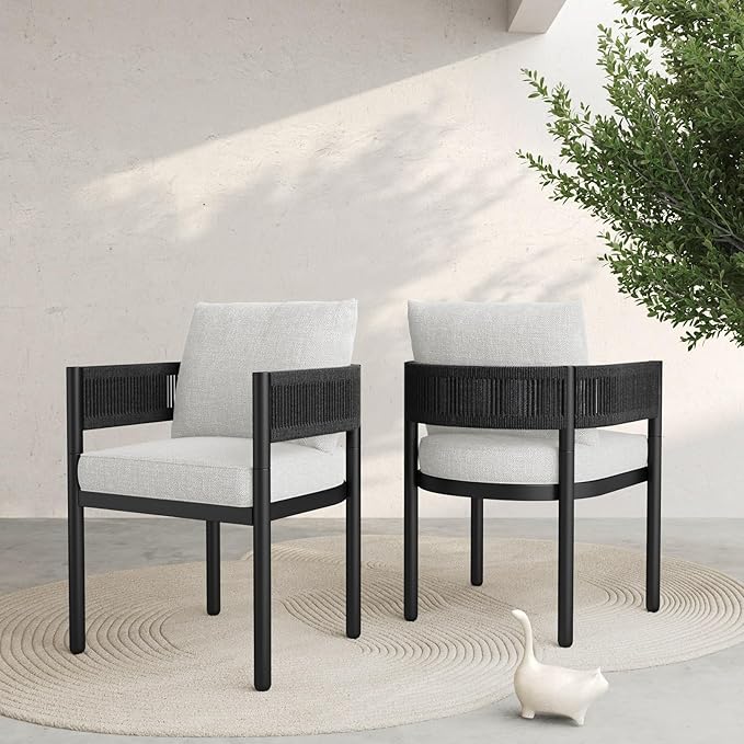 Outdoor Dining Chair Set of 2, 2 Pieces Patio Dining Chairs