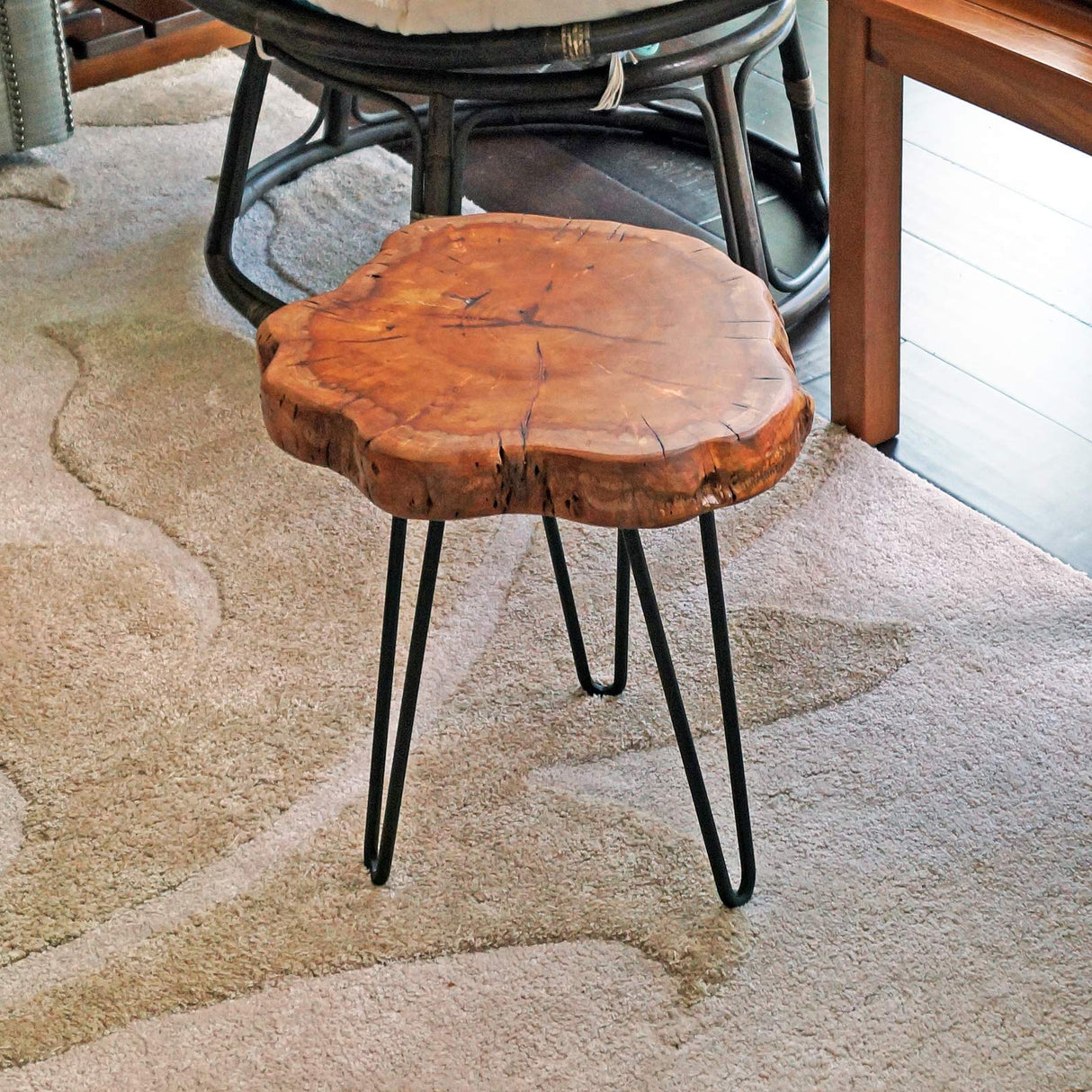 Unique Shape Natural Wood Stump Rustic Surface End Table