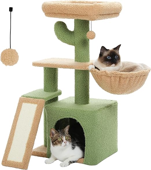 Cat Tree for Small Indoor Cats