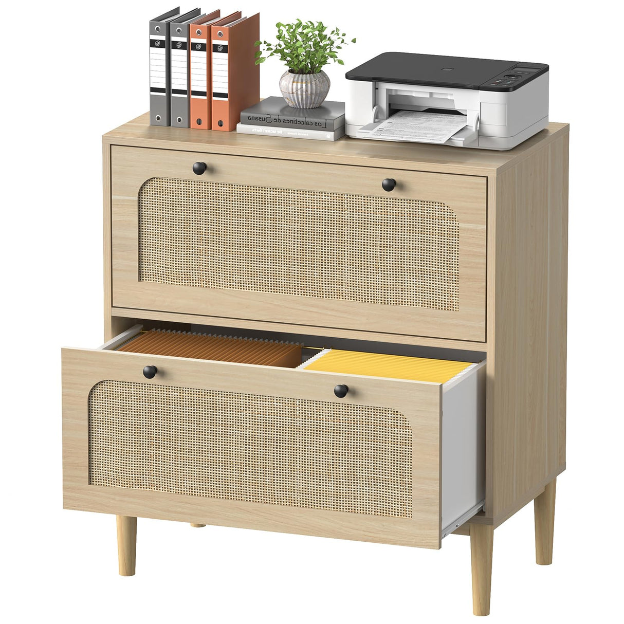 Lateral File Cabinet with 2 Drawers, Rattan Filing Cabinet