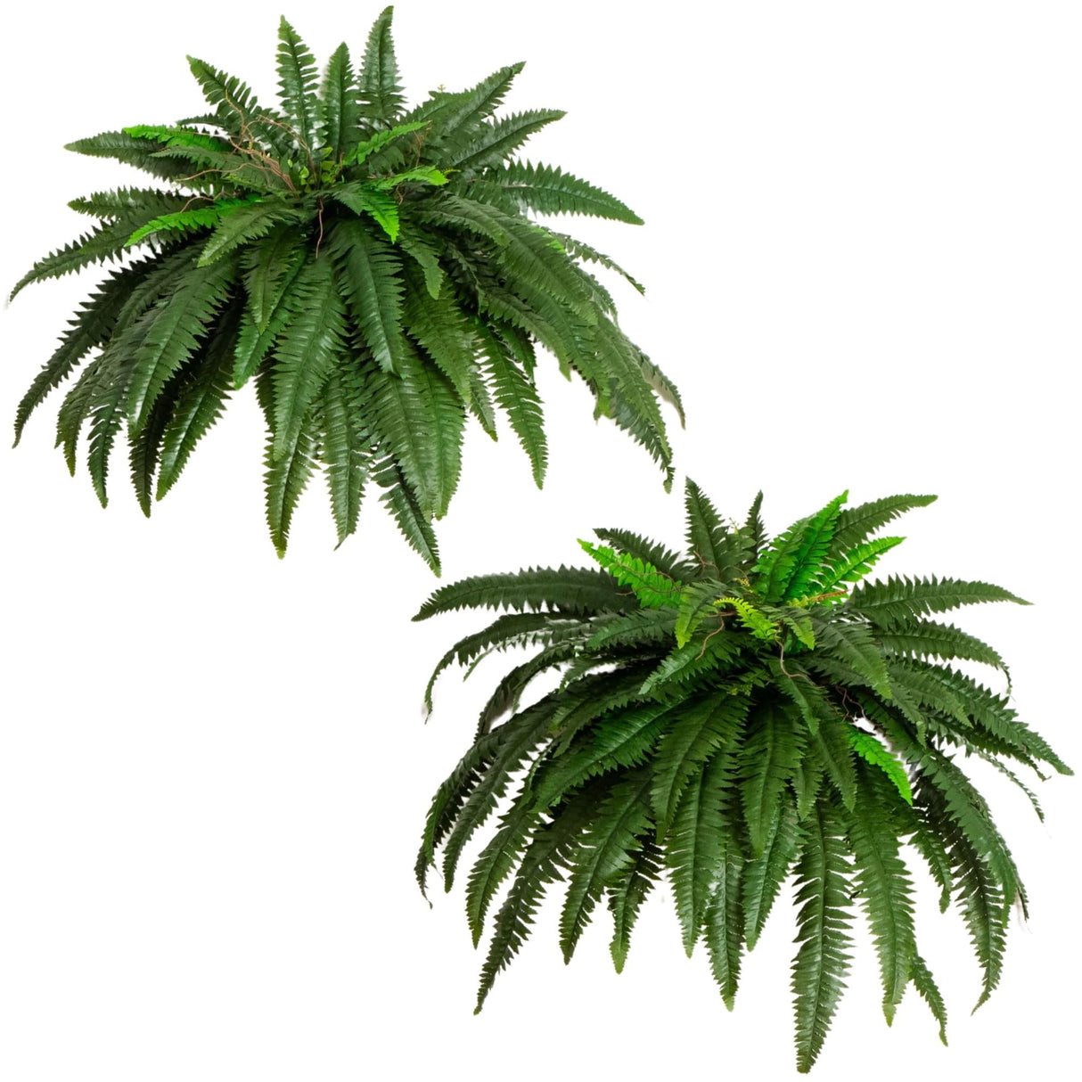 48-in Artificial Boston Fern, Set of 2, Large Hanging Fake Plant Wall Decor with 67 Fronds, Faux Fern Vines that Look Real for Home and Office Decor