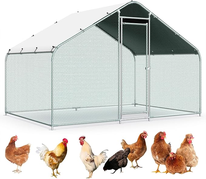Premium Metal Chicken Coop with Roof & Tall Lockable Door