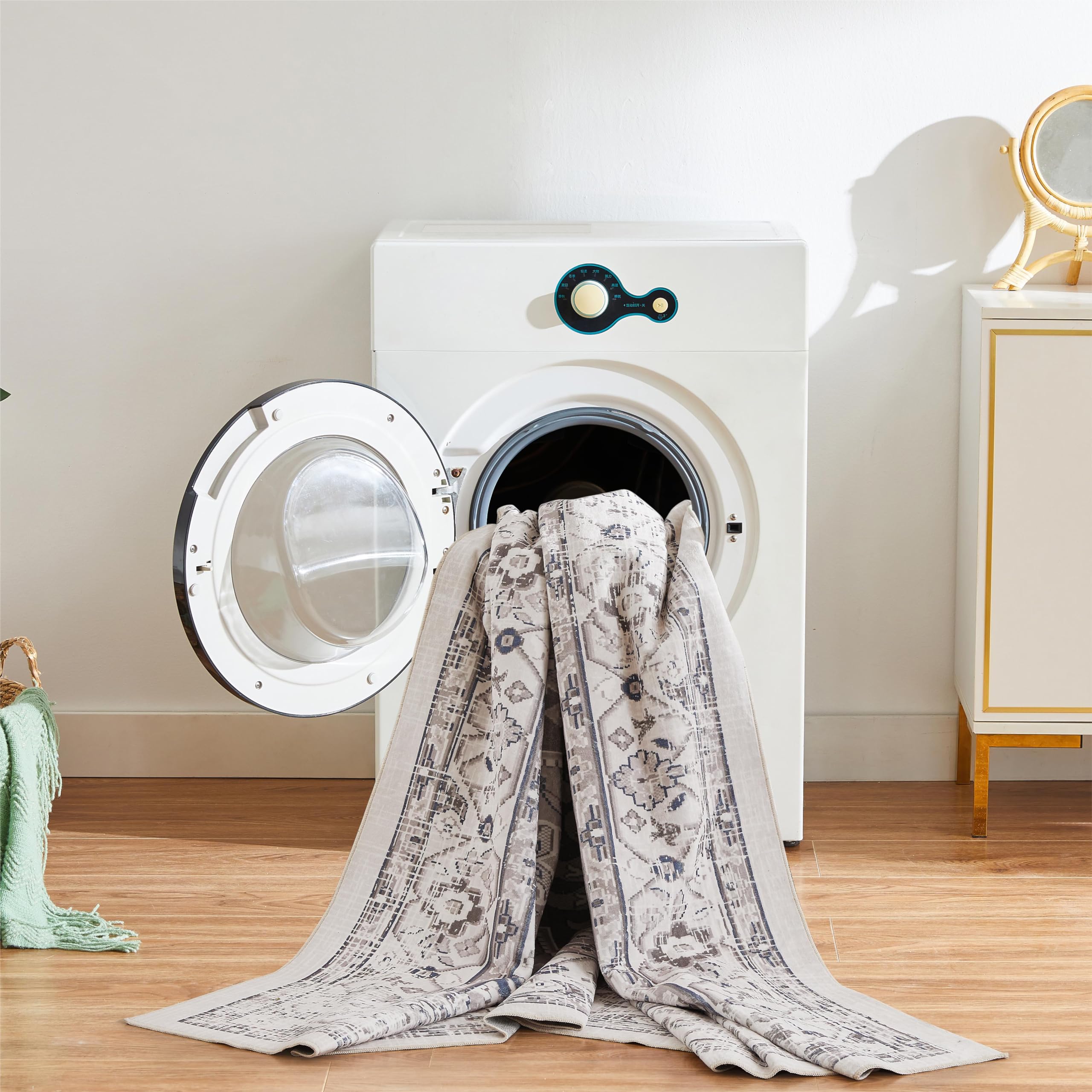 Area Rug 5'x7' Washable Rug for Living Room Stain Resistant Bedroom Rug Lightweight