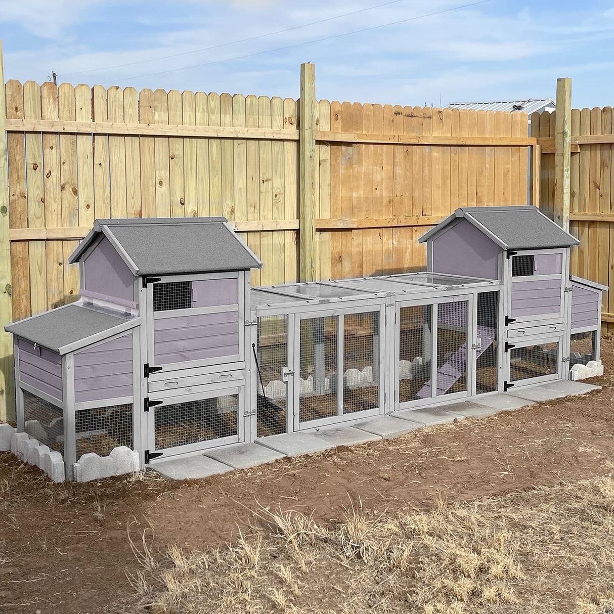 Chicken Coop with Two Houses and Run Double for 4-8 Chickens