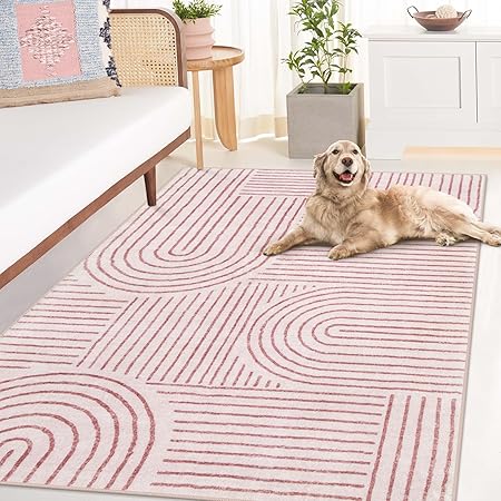 Abstract Washable Rugs 5x7, Non Slip Soft Living Room Rugs Ultra-Thin