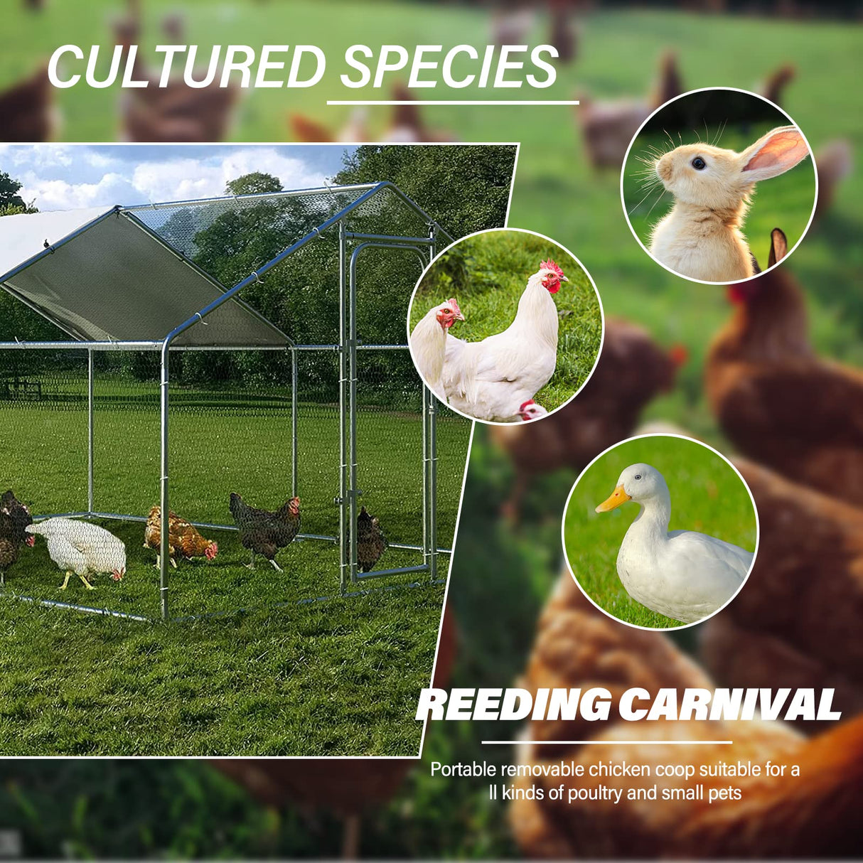 GuardNest XL Walk-In Chicken Coop with Full PVC Mesh & UV Tarp