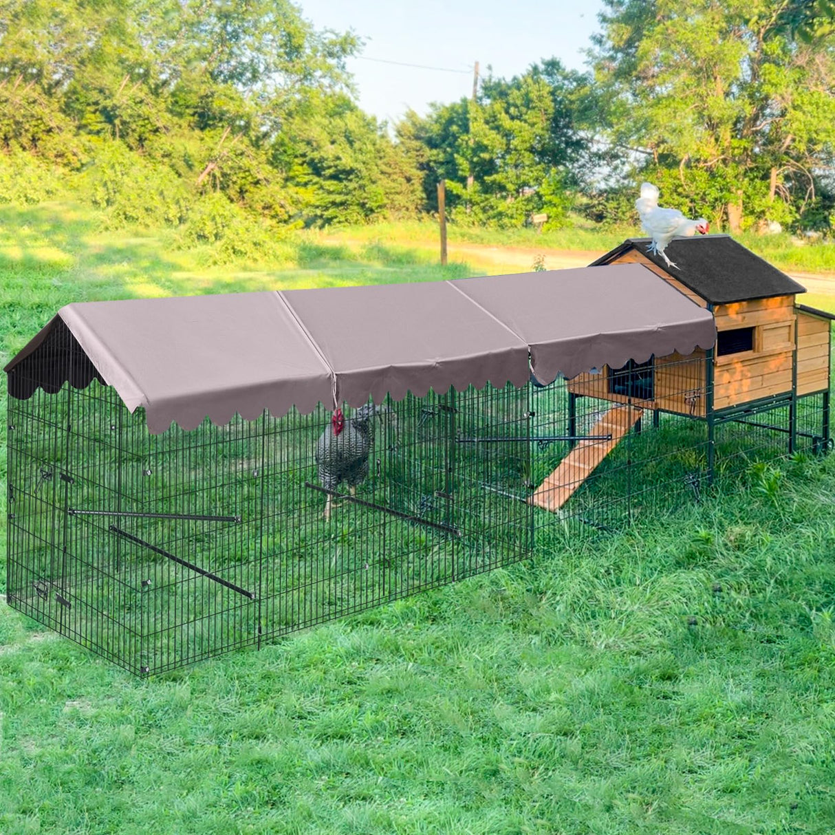 FlexiRun 22ft² Chicken Enclosure – Expandable Outdoor Poultry Run with Weather Tarp